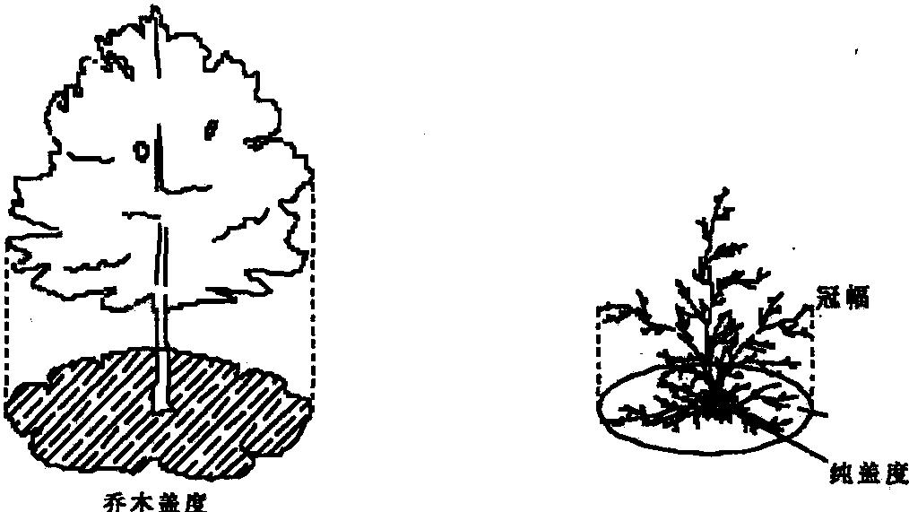 植物(植被)盖度